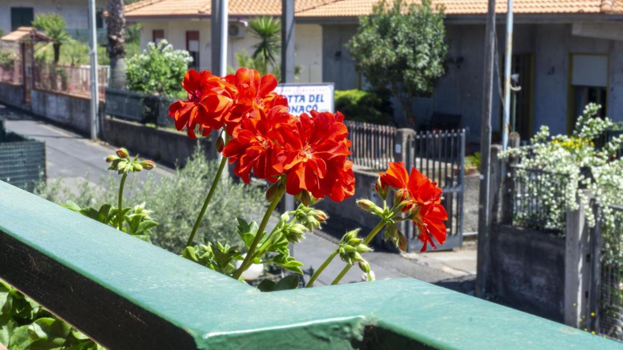 Grotta Del Monaco Bed & Breakfast Педара Екстериор снимка