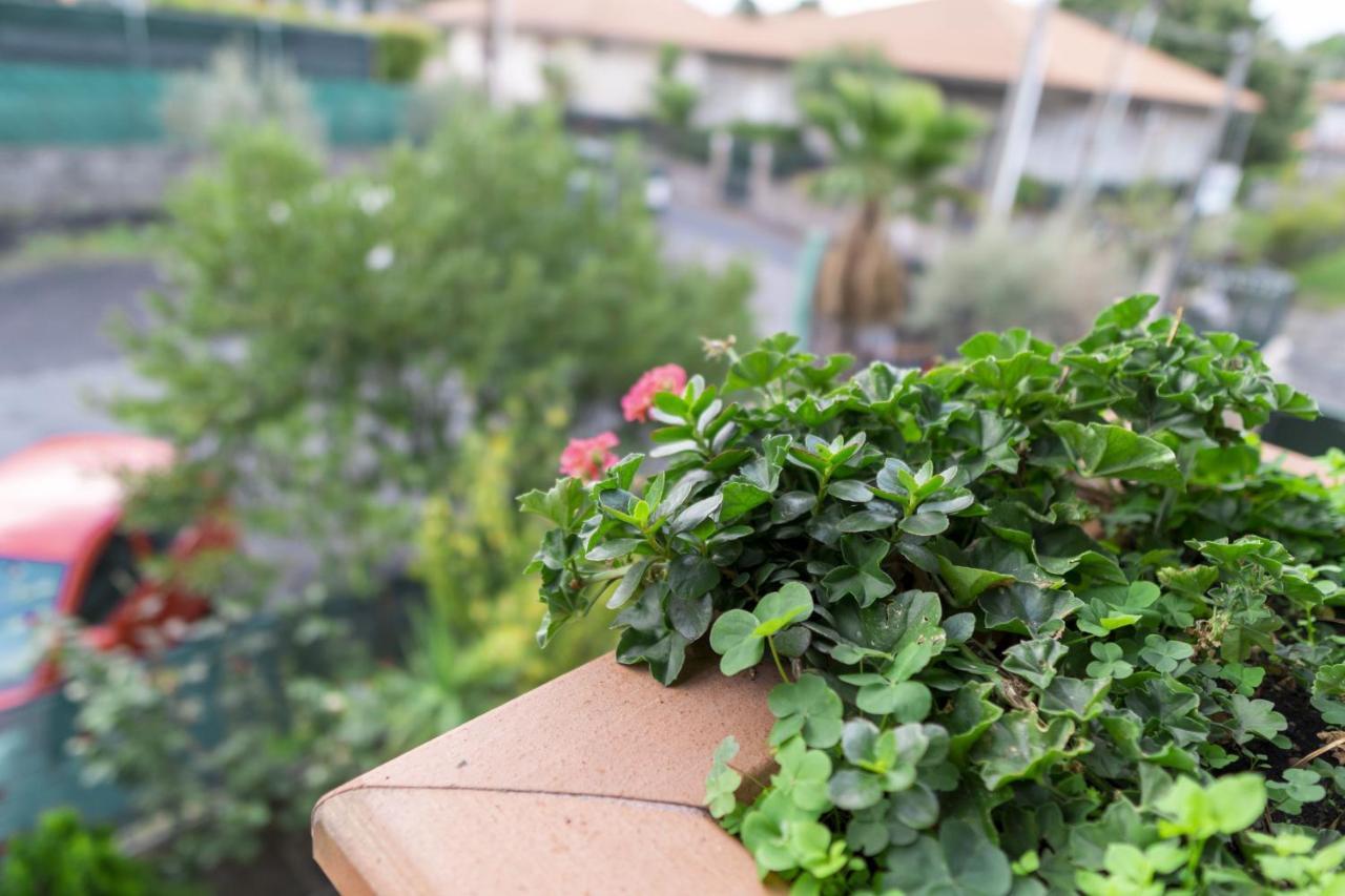 Grotta Del Monaco Bed & Breakfast Педара Екстериор снимка
