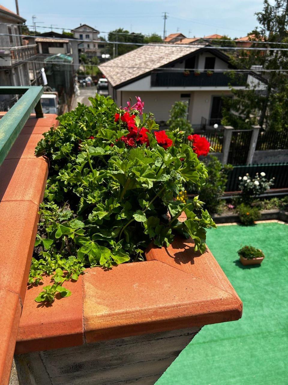 Grotta Del Monaco Bed & Breakfast Педара Екстериор снимка